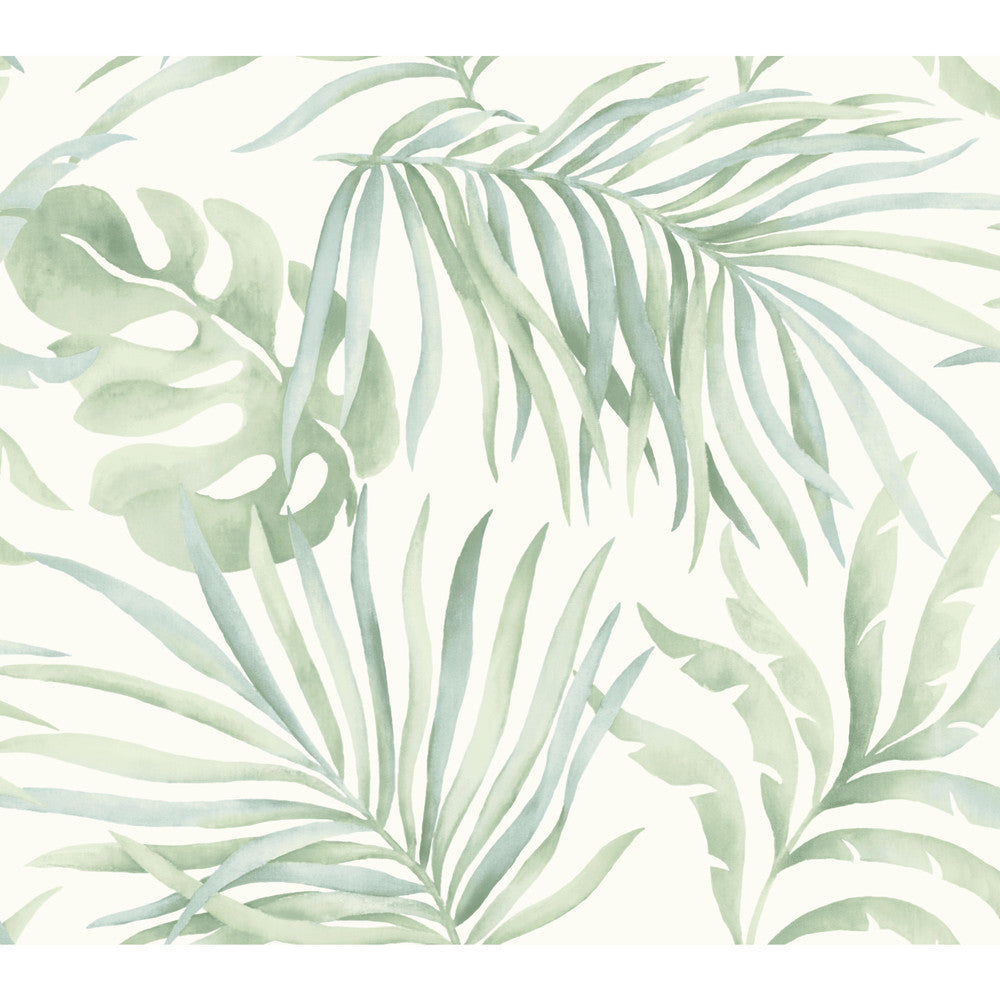 Paradise Palm Light Green Wallpaper by York Wallcoverings Candice Olson Tranquil Covers about 60.8 square feet 27-in by 27-ft long roll Unpasted 24 - Fabric Carolina -