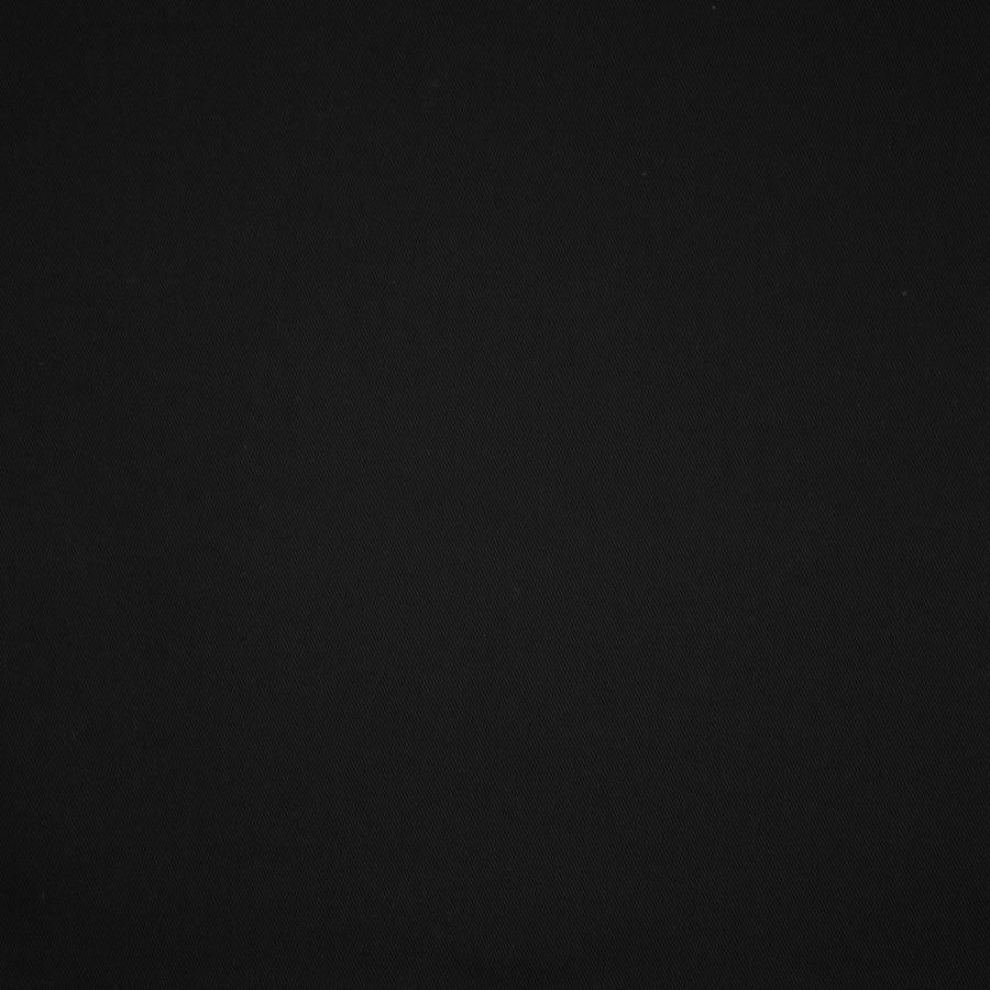 Sperry # 434 Ebony by Maxwell Fabric Color Theory-Vol. Ix Birchbark 100% COTTON USA 54" - Fabric Carolina -