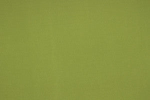 Solar Kiwi by Richloom Fabric