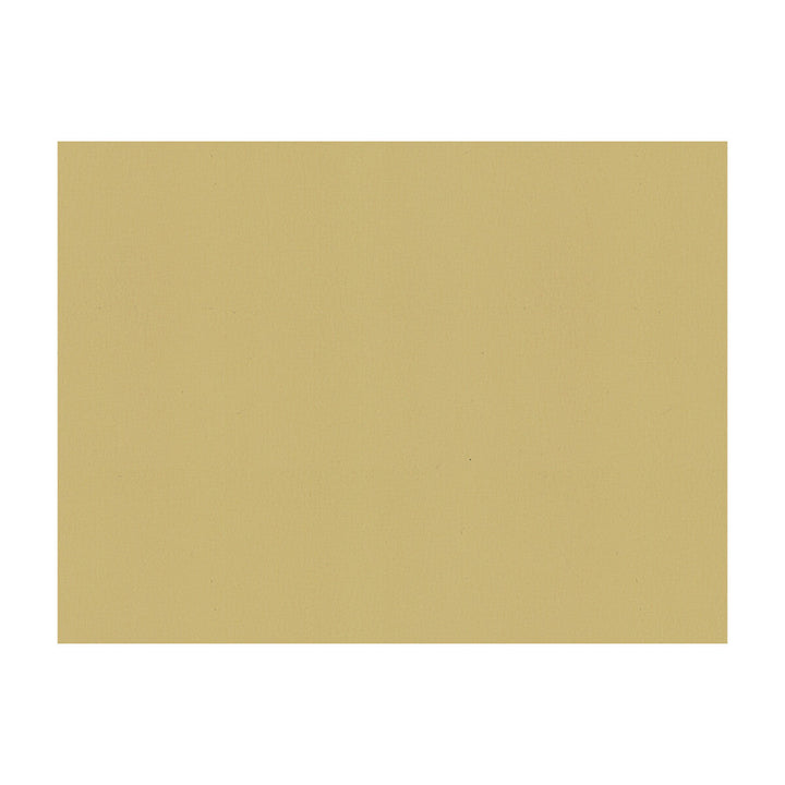 Sol Canvas by Kravet Contract Designer Fabric - POLYURETHANE - 100% China HEAVY Horizontal: - and Vertical: - 54 - Swanky Fabrics -