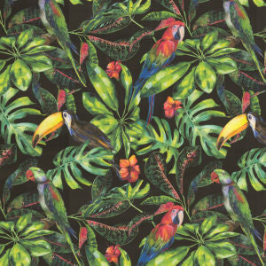Somali Midnight by Norbar Fabric