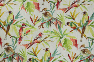 Songbird Flora by Richloom Fabric
