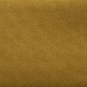 Sonic Lion by Norbar Designer Fabric SONIC 100% POLYESTER CHINA 57 - Swanky Fabrics -