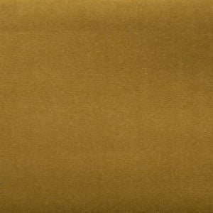 Sonic Lion by Norbar Fabric