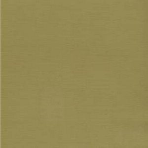 Sonora Citron 318 by Norbar Fabric Color/GREEN-CITRUS 100% POLYESTER FILAMENT INDIA 51,000 WYZENBEEK 54" - Fabric Carolina -