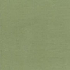 Sonora Leaf 346 by Norbar Fabric Color/GREEN-CITRUS 100% POLYESTER FILAMENT INDIA 51,000 WYZENBEEK 54" - Fabric Carolina -