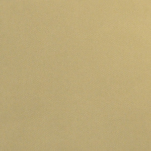 South Beach Latte by Magnolia Fabric