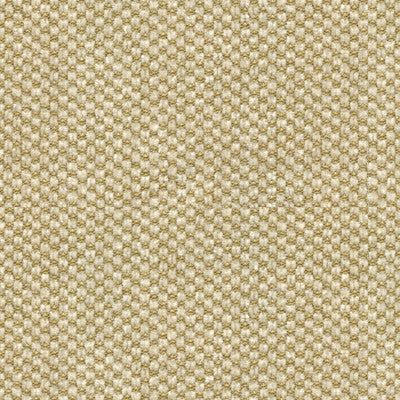 Kravet Couture Sp-81782-68 by Kravet Couture Fabric Kravet Couture Fabric Kravet Couture Sp-81782-68Fabric COTTON - 50%;RAYON - 50% United States </p><p>Repeat: H: 0.25, V: 0.375 54 - Fabric Carolina -
