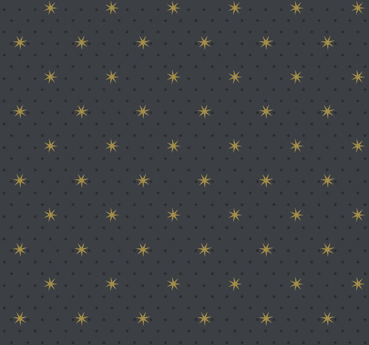 Stella Star Black Metallic Wallpaper by York Wallcoverings Shimmering Finishes Covers about 60.8 square feet 27-in by 27-ft long roll Unpasted 25.25 - Fabric Carolina -