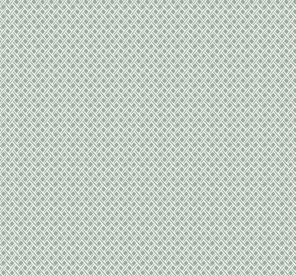 Green Wicker Weave Wallpaper by York Wallcoverings Small Prints Resource Library Covers about 60.8 square feet 27-in by 27-ft long roll Unpasted 25.25 - Fabric Carolina -