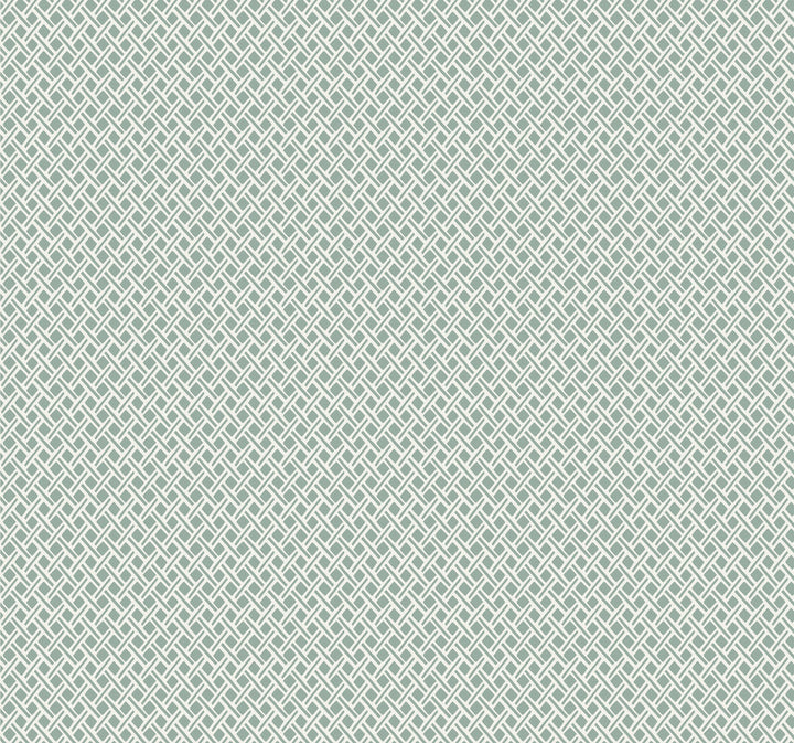 Green Wicker Weave Wallpaper by York Wallcoverings Small Prints Resource Library Covers about 60.8 square feet 27-in by 27-ft long roll Unpasted 25.25 - Fabric Carolina -