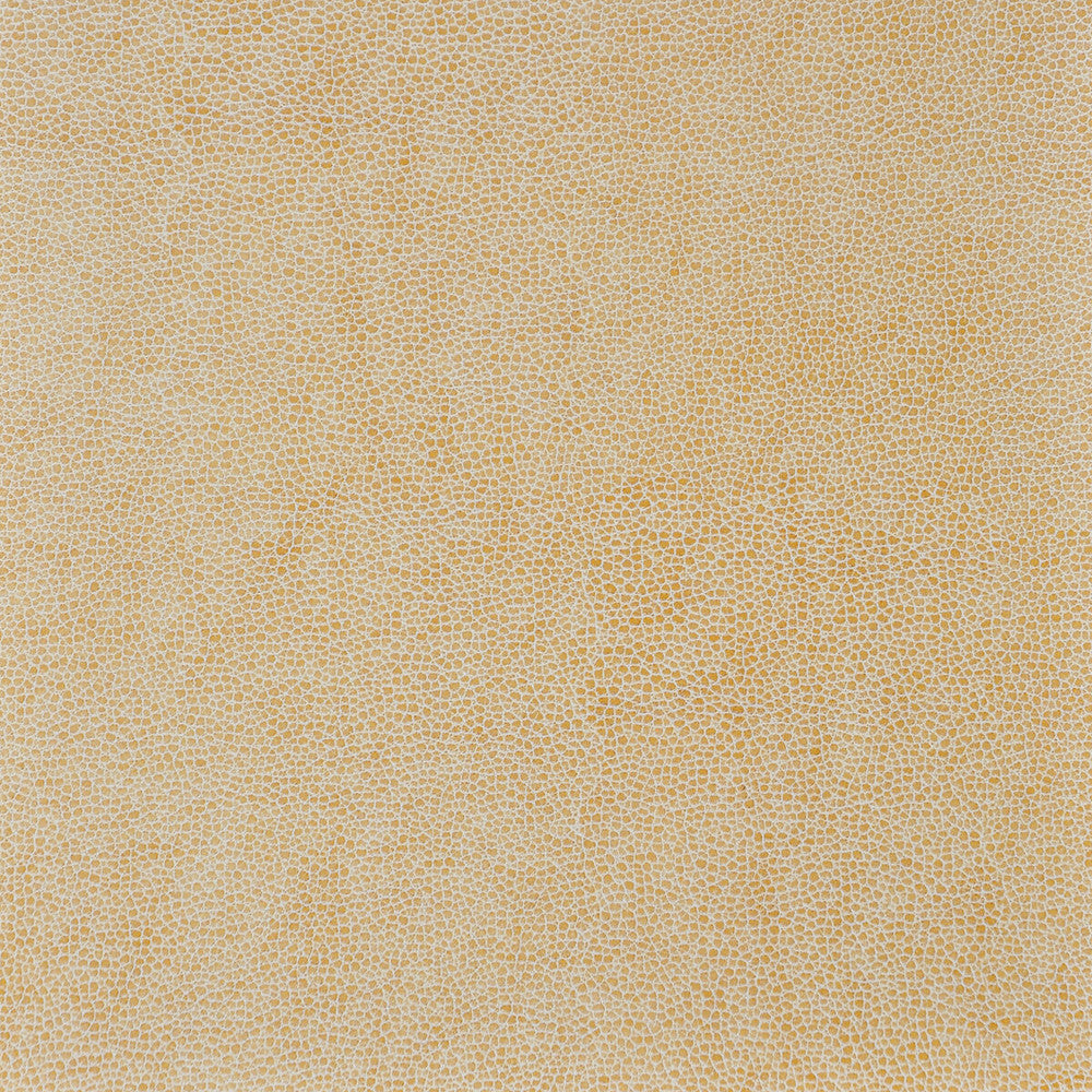 Sparta-1616 by Kravet Design Fabric POLYESTER - 55%;POLYURETHANE - 45% Korea, Republic of HEAVY Horizontal: 0 and Vertical: 0 54 - Fabric Carolina -