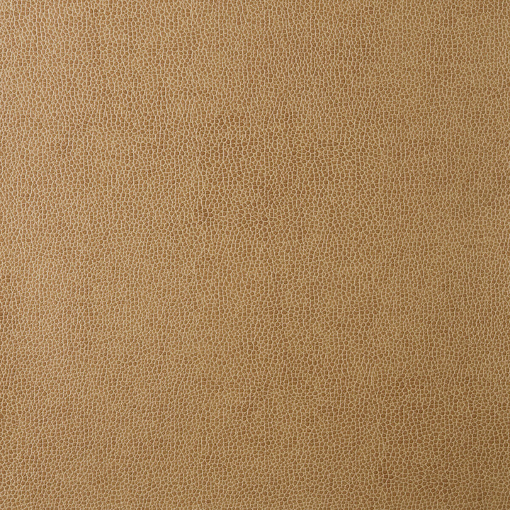 Sparta-16 by Kravet Design Fabric POLYESTER - 55%;POLYURETHANE - 45% Korea, Republic of HEAVY Horizontal: 0 and Vertical: 0 54 - Fabric Carolina -