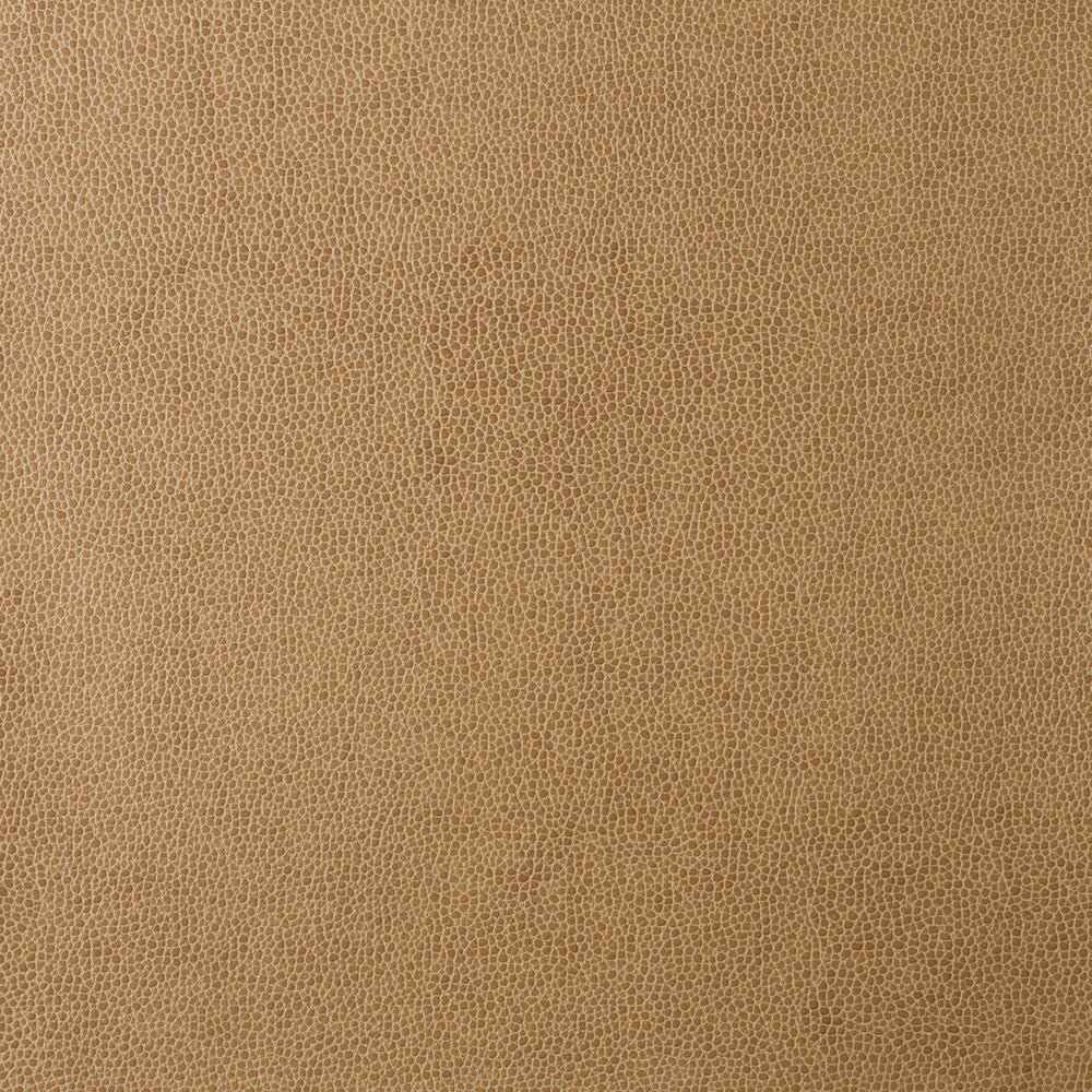 Sparta-16 by Kravet Design Fabric POLYESTER - 55%;POLYURETHANE - 45% Korea, Republic of HEAVY Horizontal: 0 and Vertical: 0 54 - Fabric Carolina -