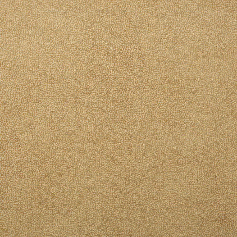 Sparta-1 by Kravet Design Fabric - POLYESTER - 55%;POLYURETHANE - 45% Korea, Republic of HEAVY Horizontal: 0 and Vertical: 0 54 - Fabric Carolina -