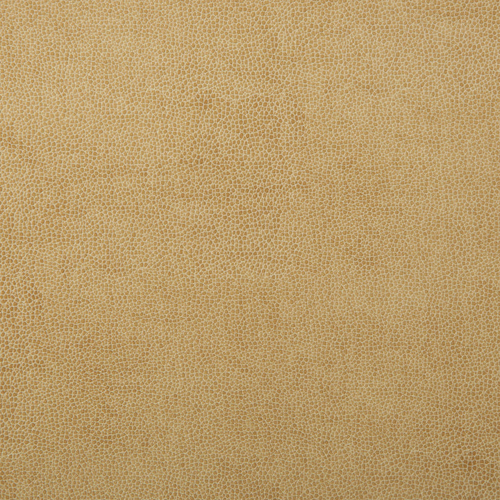Sparta-1 by Kravet Design Fabric - POLYESTER - 55%;POLYURETHANE - 45% Korea, Republic of HEAVY Horizontal: 0 and Vertical: 0 54 - Fabric Carolina -