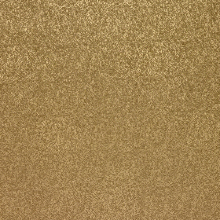 Sparta-404 by Kravet Design Fabric POLYESTER - 55%;POLYURETHANE - 45% Korea, Republic of HEAVY Horizontal: 0 and Vertical: 0 54 - Fabric Carolina -