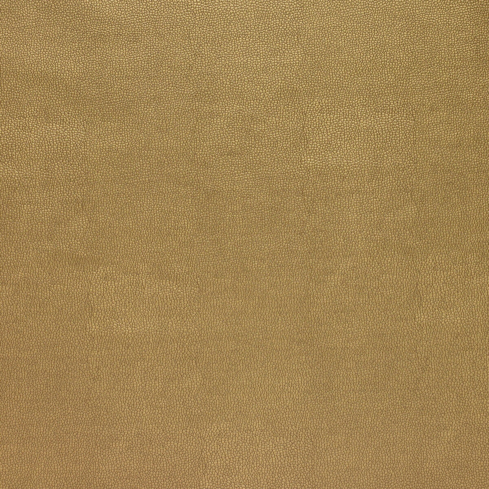 Sparta-404 by Kravet Design Fabric - POLYESTER - 55%;POLYURETHANE - 45% Korea, Republic of HEAVY Horizontal: 0 and Vertical: 0 54 - Fabric Carolina -