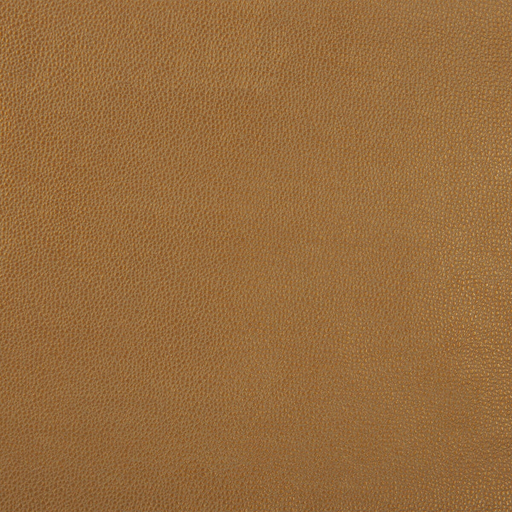 Sparta-4 by Kravet Design Fabric POLYESTER - 55%;POLYURETHANE - 45% Korea, Republic of HEAVY Horizontal: 0 and Vertical: 0 54 - Fabric Carolina -