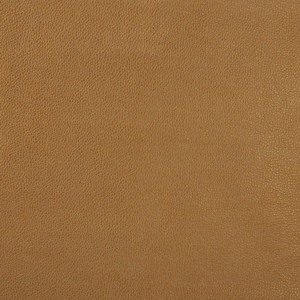 Sparta-4 by Kravet Design Fabric POLYESTER - 55%;POLYURETHANE - 45% Korea, Republic of HEAVY Horizontal: 0 and Vertical: 0 54 - Fabric Carolina -