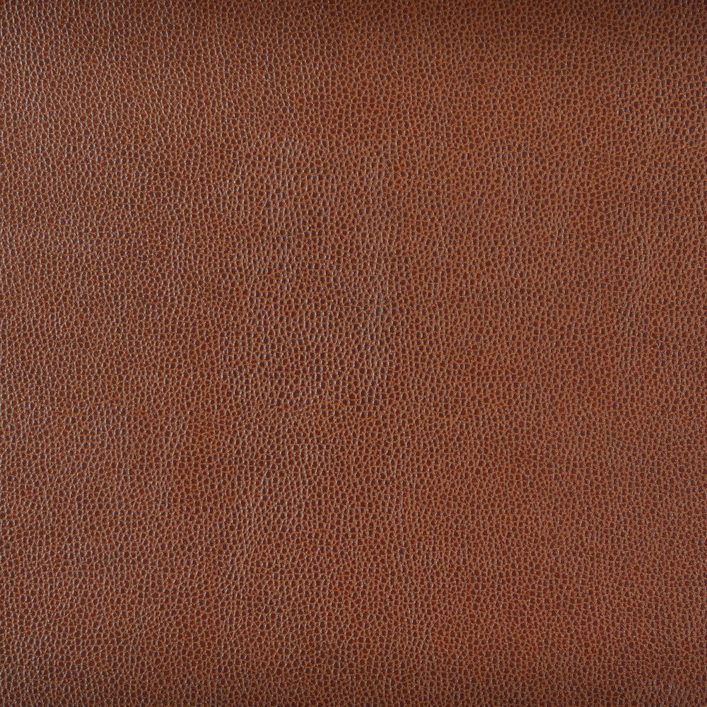 Sparta-6 by Kravet Design Fabric - POLYESTER - 55%;POLYURETHANE - 45% Korea, Republic of HEAVY Horizontal: 0 and Vertical: 0 54 - Fabric Carolina -