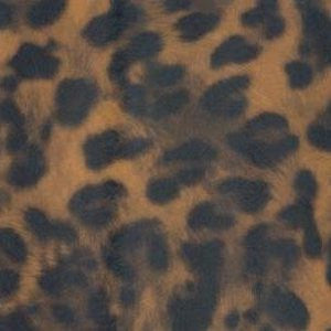 Spiro Mellow by Norbar Fabric