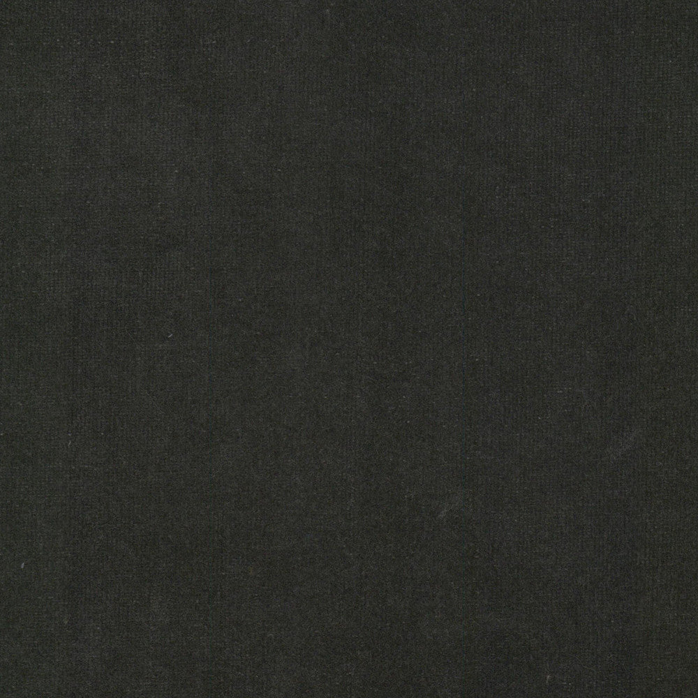 Spock 3 Zinc by Stout Fabric Stout Fabric Spock 3 ZincFabric SOLID VELVETS PLUSH PALETTE 100%POL INDONESIA </p><p>Repeat: H: 0.000, V: 0.000 55 in - Fabric Carolina -