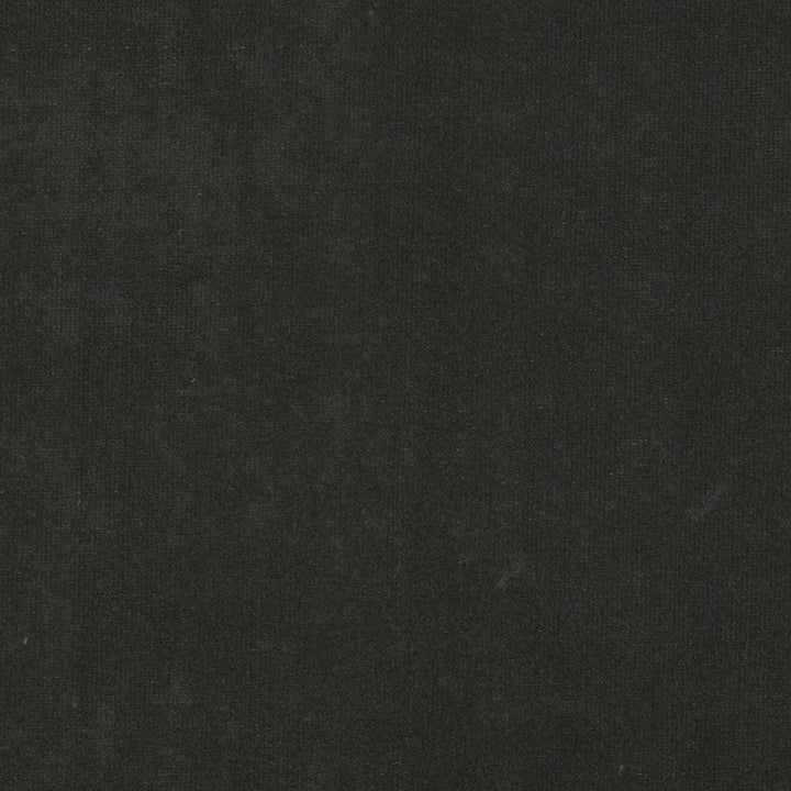 Spock 3 Zinc by Stout Fabric Stout Fabric Spock 3 ZincFabric SOLID VELVETS PLUSH PALETTE 100%POL INDONESIA </p><p>Repeat: H: 0.000, V: 0.000 55 in - Fabric Carolina -