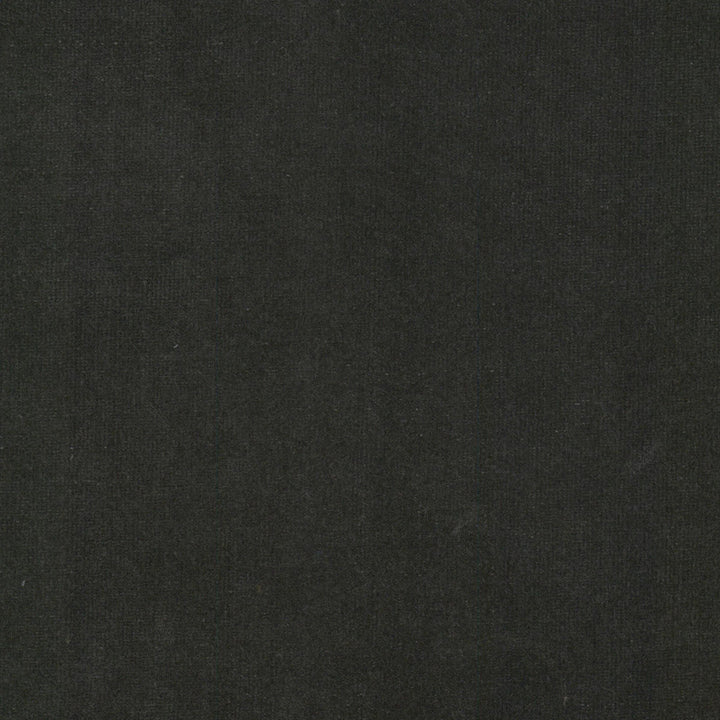 Spock 3 Zinc by Stout Fabric Stout Fabric Spock 3 ZincFabric SOLID VELVETS PLUSH PALETTE 100%POL INDONESIA </p><p>Repeat: H: 0.000, V: 0.000 55 in - Fabric Carolina -