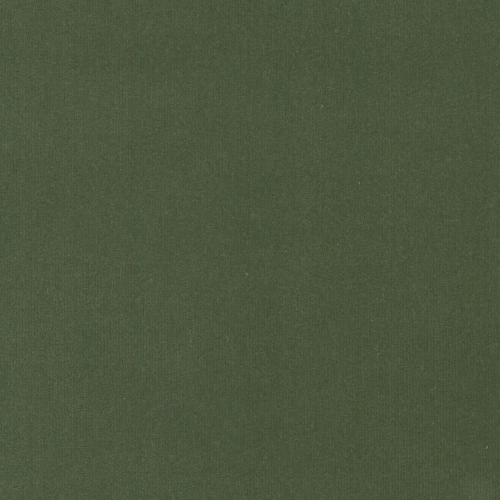Spock 6 Dill by Stout Fabric Stout Fabric Spock 6 DillFabric SOLID VELVETS PLUSH PALETTE 100%POL INDONESIA </p><p>Repeat: H: 0.000, V: 0.000 55 in - Fabric Carolina -