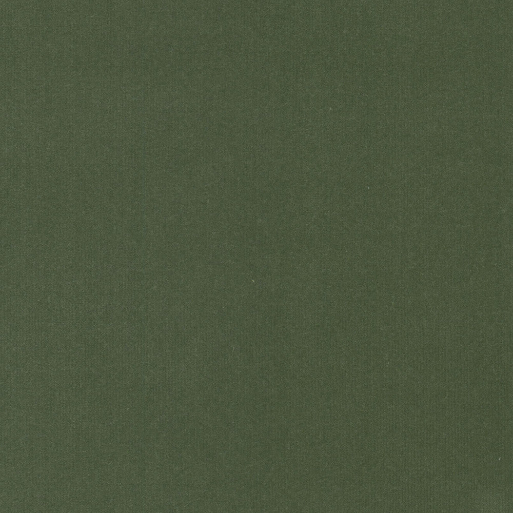 Spock 6 Dill by Stout Fabric Stout Fabric Spock 6 DillFabric SOLID VELVETS PLUSH PALETTE 100%POL INDONESIA </p><p>Repeat: H: 0.000, V: 0.000 55 in - Fabric Carolina -