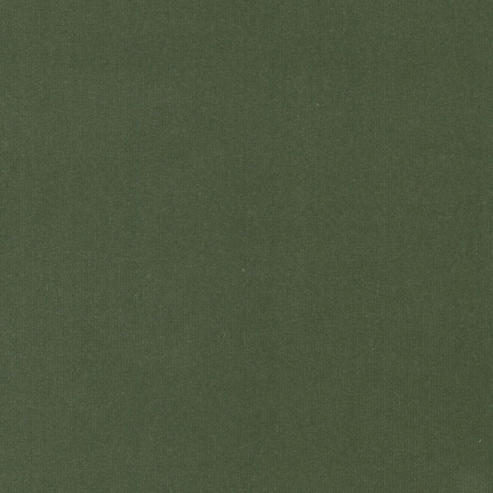 Spock 6 Dill by Stout Fabric Stout Fabric Spock 6 DillFabric SOLID VELVETS PLUSH PALETTE 100%POL INDONESIA </p><p>Repeat: H: 0.000, V: 0.000 55 in - Fabric Carolina -