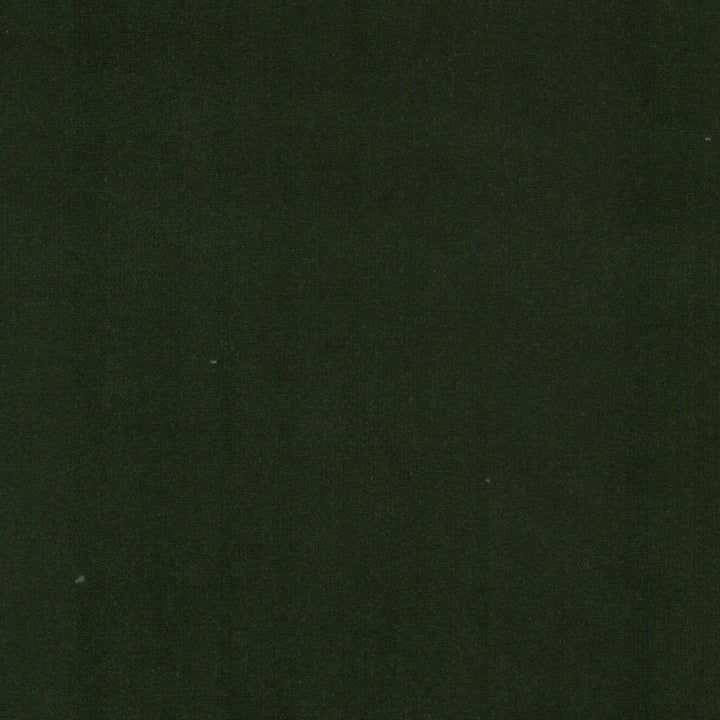 Spock 7 Jungle by Stout Fabric Stout Fabric Spock 7 JungleFabric SOLID VELVETS PLUSH PALETTE 100%POL INDONESIA </p><p>Repeat: H: 0.000, V: 0.000 55 in - Fabric Carolina -