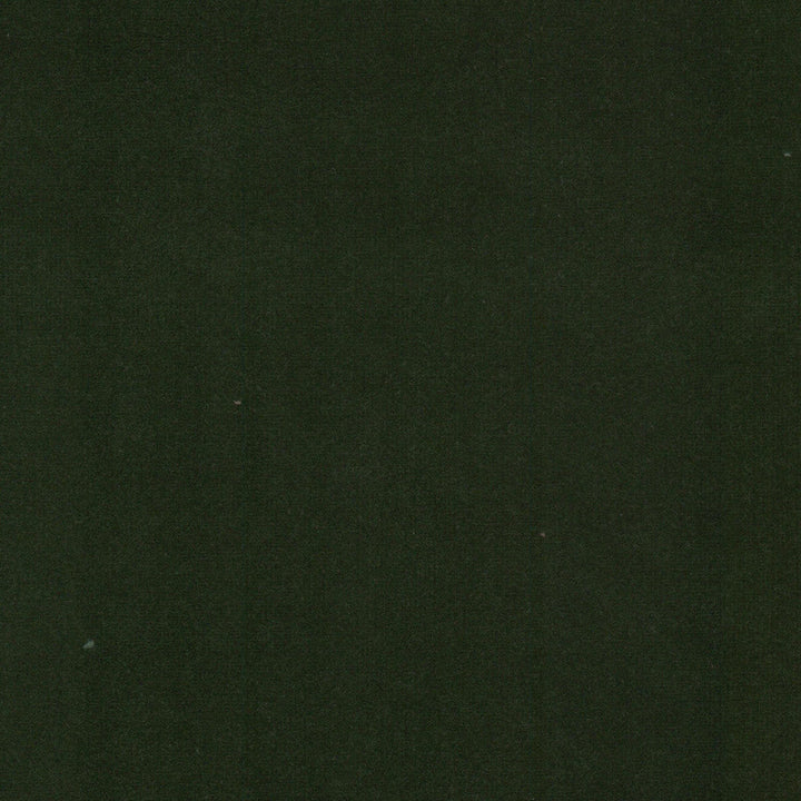 Spock 7 Jungle by Stout Fabric Stout Fabric Spock 7 JungleFabric SOLID VELVETS PLUSH PALETTE 100%POL INDONESIA </p><p>Repeat: H: 0.000, V: 0.000 55 in - Fabric Carolina -