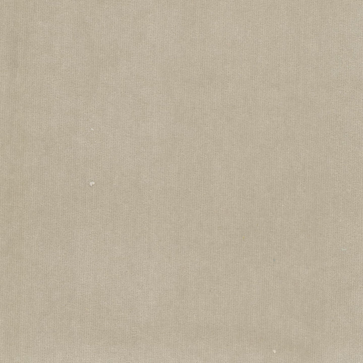 Spock 8 Birch by Stout Fabric Stout Fabric Spock 8 BirchFabric Solid Velvets Plush Palette 100%Pol Indonesia </p><p>Repeat: H: 0, V: 0 55 in - Fabric Carolina -