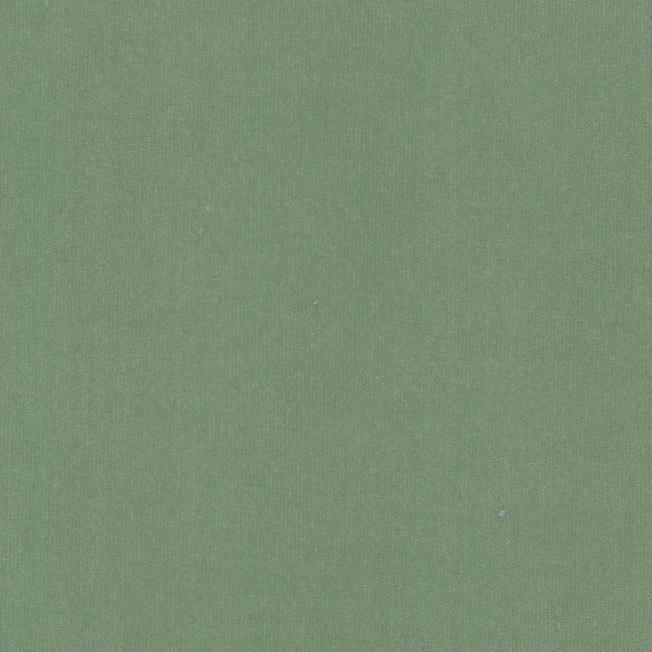 Spock 9 Seamist by Stout Fabric Stout Fabric Spock 9 SeamistFabric SOLID VELVETS PLUSH PALETTE 100%POL INDONESIA </p><p>Repeat: H: 0.000, V: 0.000 55 in - Fabric Carolina -