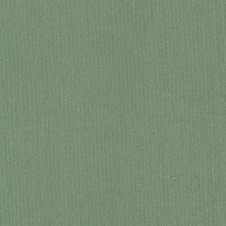 Spock 9 Seamist by Stout Fabric Stout Fabric Spock 9 SeamistFabric SOLID VELVETS PLUSH PALETTE 100%POL INDONESIA </p><p>Repeat: H: 0.000, V: 0.000 55 in - Fabric Carolina -