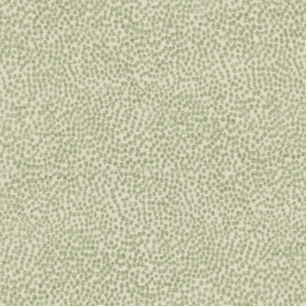 Spotswood 2 Dewkist by Stout Fabric Stout Fabric Spotswood 2 DewkistFabric Rainbow Library Celadon/Bottle 100%Pol China </p><p>Repeat: H: 0, V: 0 56 in - Fabric Carolina -