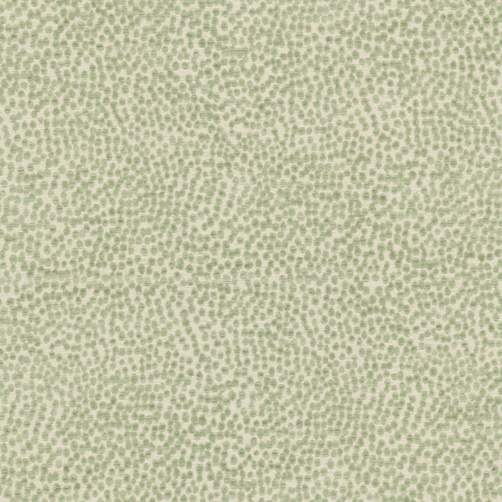 Spotswood 2 Dewkist by Stout Fabric Stout Fabric Spotswood 2 DewkistFabric Rainbow Library Celadon/Bottle 100%Pol China </p><p>Repeat: H: 0, V: 0 56 in - Fabric Carolina -