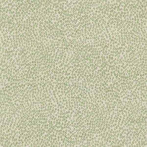 Spotswood 2 Dewkist by Stout Fabric