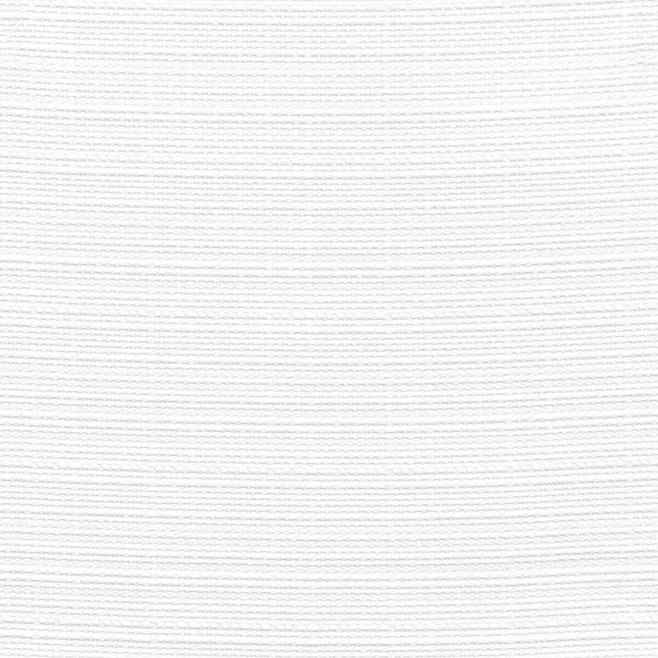 Spyro 2 White by Stout Designer Fabric COLOR MY WINDOW ALABASTER/PARCHMENT 100%POL CHINA WYZENBEEK 50 000 DOUBLE RUB WEAR TEST (HEAVY DUTY) Horizontal: 0 and Vertical: 0 57 in - Swanky Fabrics -