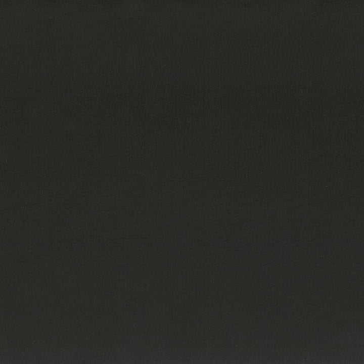 Squire 1 Jet by Stout Fabric ULTIMATE LEATHER LOOKS 100%POU 7%OTH CHINA FLAME RETARDANT-CA BULLETIN 117-SECTION E FLAME RETARDANT-U.F.A.C. CLASS 1 FLAME RETARDANT-CA BULLETIN 117-CLASS 1 FLAME RETARDANT-N.F.P.A. 260A CLASS 1 WYZENBEEK 200 000 DOUBLE RUB WEAR TEST(EXTREMELY HEAVY DUTY) Horizontal: 0 and Vertical: 0 54 in - Fabric Carolina -