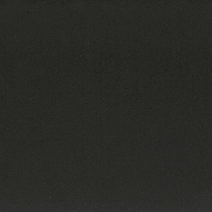 Squire 1 Jet by Stout Fabric Stout Fabric Squire 1 JetFabric ULTIMATE LEATHER LOOKS CHINA </p><p>Repeat: H: 0.000, V: 0.000 54 in - Fabric Carolina -