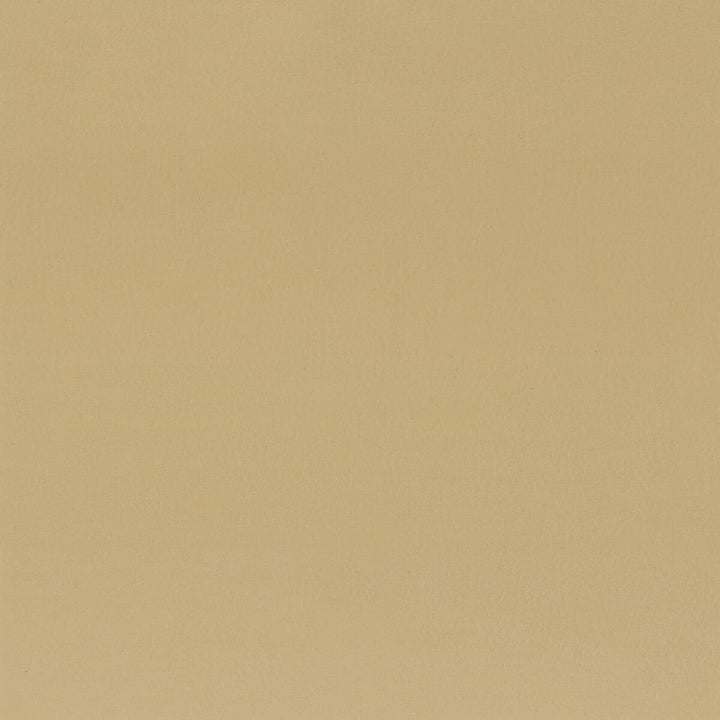Squire 3 Tan by Stout Fabric ULTIMATE LEATHER LOOKS 100%POU 7%OTH CHINA FLAME RETARDANT-CA BULLETIN 117-SECTION E FLAME RETARDANT-U.F.A.C. CLASS 1 FLAME RETARDANT-CA BULLETIN 117-CLASS 1 FLAME RETARDANT-N.F.P.A. 260A CLASS 1 WYZENBEEK 200 000 DOUBLE RUB WEAR TEST(EXTREMELY HEAVY DUTY) </p><p>Repeat: 0 54 in - Fabric Carolina -