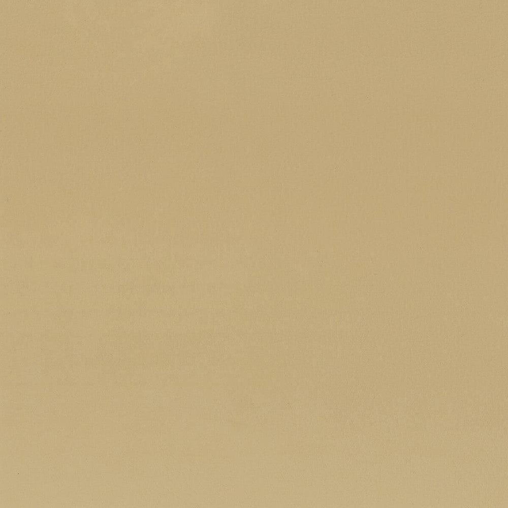 Squire 3 Tan by Stout Fabric Ultimate Leather Looks 100% Polyurethane 7% Other CHINA FLAME RETARDANT-CA BULLETIN 117-SECTION E FLAME RETARDANT-U.F.A.C. CLASS 1 (OR A) FLAME RETARDANT-CA BULLETIN 117-CLASS 1 FLAME RETARDANT-N.F.P.A. 260A CLASS 1 WYZENBEEK 200 000 DOUBLE RUB WEAR TEST(EXTREMELY HEAVY DUTY) Horizontal: 0 and Vertical: 0 54 in - Fabric Carolina -