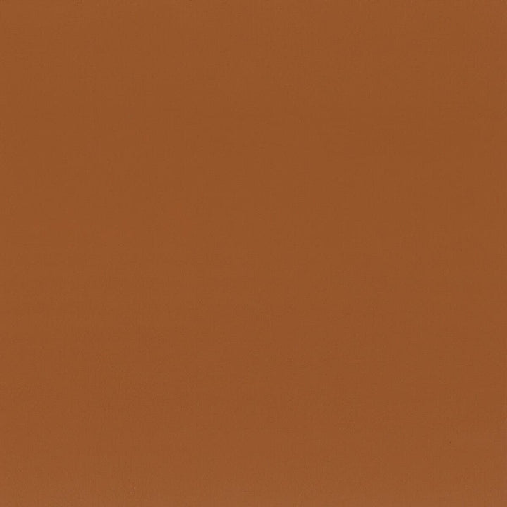Squire 4 Acorn by Stout Fabric ULTIMATE LEATHER LOOKS 100%POU 7%OTH CHINA FLAME RETARDANT-CA BULLETIN 117-SECTION E FLAME RETARDANT-U.F.A.C. CLASS 1 FLAME RETARDANT-CA BULLETIN 117-CLASS 1 FLAME RETARDANT-N.F.P.A. 260A CLASS 1 WYZENBEEK 200 000 DOUBLE RUB WEAR TEST(EXTREMELY HEAVY DUTY) </p><p>Repeat: 0 54 in - Fabric Carolina -