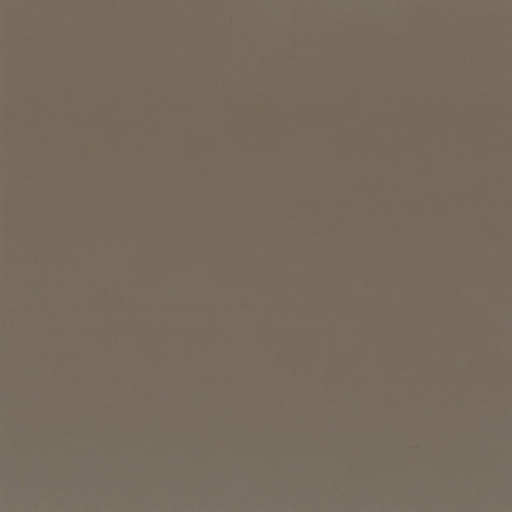 Squire 5 Grey by Stout Fabric Ultimate Leather Looks 100% Polyurethane 7% Other CHINA FLAME RETARDANT-CA BULLETIN 117-SECTION E FLAME RETARDANT-U.F.A.C. CLASS 1 (OR A) FLAME RETARDANT-CA BULLETIN 117-CLASS 1 FLAME RETARDANT-N.F.P.A. 260A CLASS 1 WYZENBEEK 200 000 DOUBLE RUB WEAR TEST(EXTREMELY HEAVY DUTY) Horizontal: 0 and Vertical: 0 54 in - Fabric Carolina -
