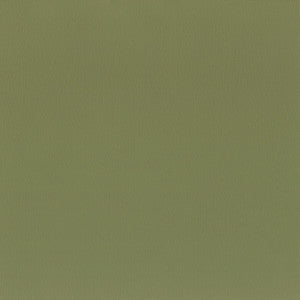 Squire 7 Sage by Stout Fabric