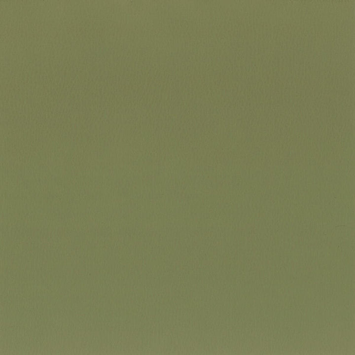 Squire 7 Sage by Stout Fabric Stout Fabric Squire 7 SageFabric ULTIMATE LEATHER LOOKS CHINA </p><p>Repeat: H: 0.000, V: 0.000 54 in - Fabric Carolina -