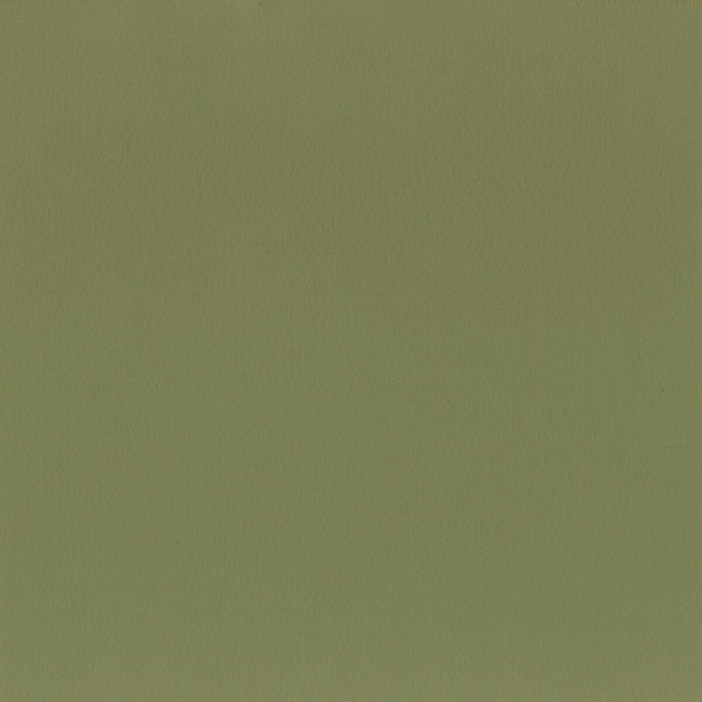 Squire 7 Sage by Stout Fabric ULTIMATE LEATHER LOOKS 100%POU 7%OTH CHINA FLAME RETARDANT-CA BULLETIN 117-SECTION E FLAME RETARDANT-U.F.A.C. CLASS 1 FLAME RETARDANT-CA BULLETIN 117-CLASS 1 FLAME RETARDANT-N.F.P.A. 260A CLASS 1 WYZENBEEK 200 000 DOUBLE RUB WEAR TEST(EXTREMELY HEAVY DUTY) Horizontal: 0 and Vertical: 0 54 in - Fabric Carolina -